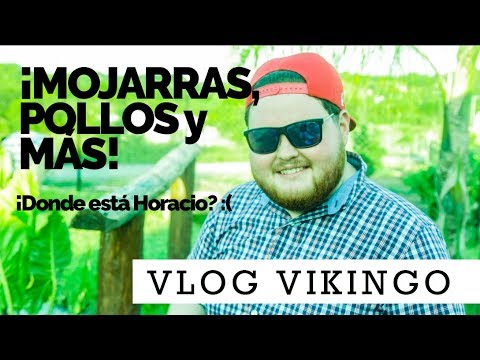 mojarras-a-la-sal-pollos-y-mas-vlog-vikingos-en-la-cocina