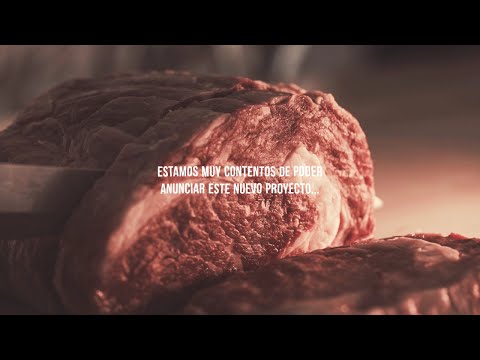 nuestro-nuevo-proyecto