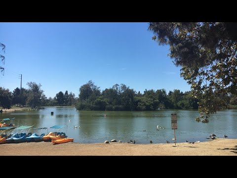 reunion-de-youtubers-en-ca-gracias-por-la-invitacion-amigs