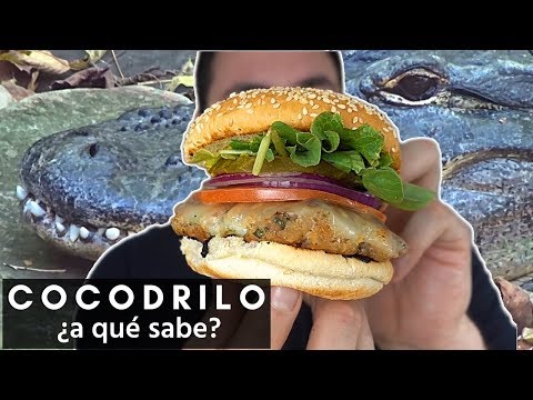 hamburguesas-de-cocodrilo-la-capital