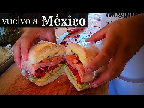 regreso-a-mexico-despues-de-3-anos-13-la-capital