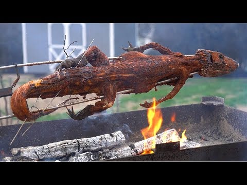 caiman-a-la-lena-la-capital