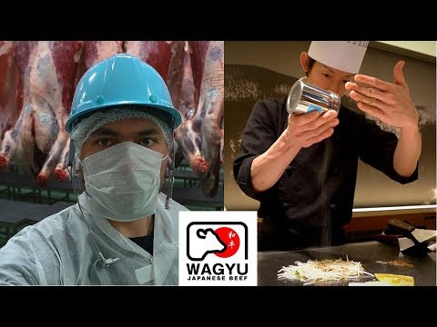 viaje-a-japon-solo-por-esta-carne-la-capital