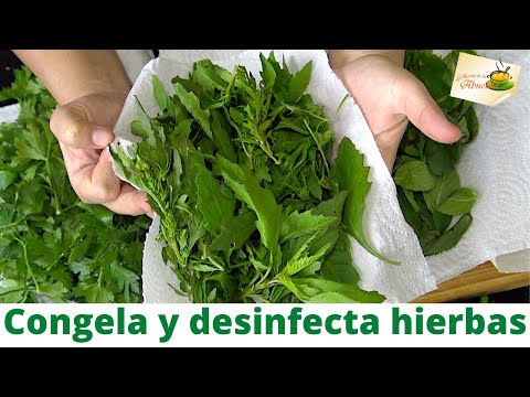 hierbas-congeladas-para-esta-cuarentena-lavar-desinfecta-y-congelar