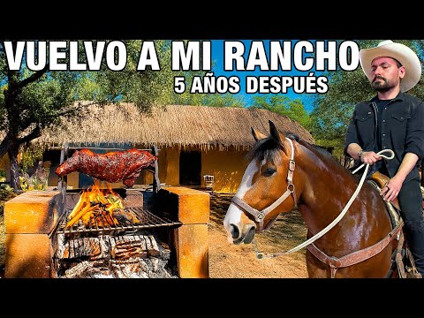 vuelvo-a-mi-ciudad-natal-despues-de-5-anos-mi-nuevo-proyecto-la-capital