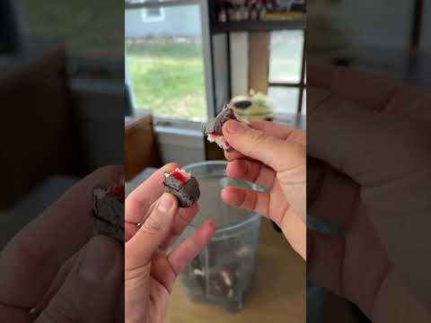 salsa-picante-de-bubu-lubu-spicy-foodie-comida-shorts