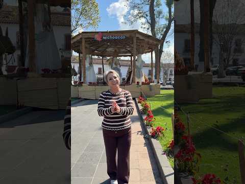 feliz-navidad-mis-cocineritos-recetas-navidad