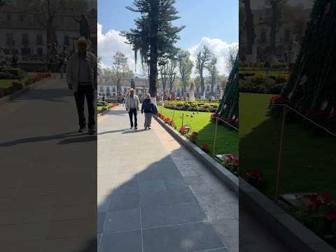 todo-se-los-debo-a-ustedes-mi-gente-feliz-naviada-demiranchoatucocina