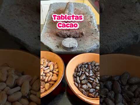 de-grano-a-chocolate-el-increible-proceso-del-cacao-paso-a-paso