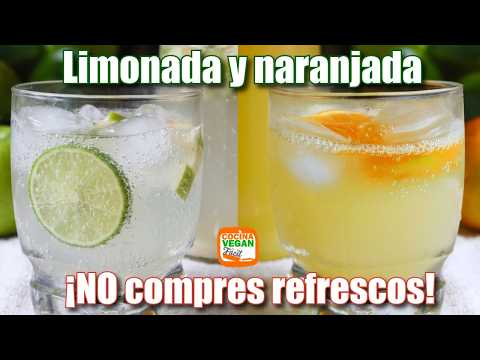 como-hacer-refresco-casero-con-probioticos-paso-a-paso