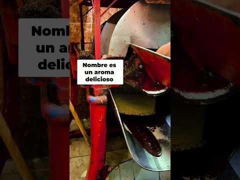 descubre-el-cacao-en-ocotlan-tips-y-sabores-unicos-shorts