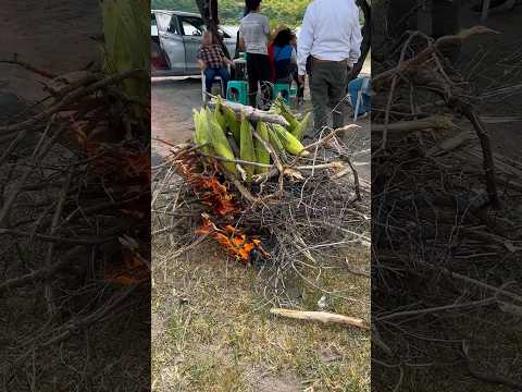 haciendo-una-elotes-tatemados