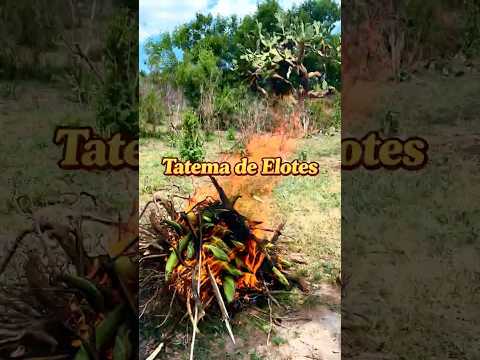 unos-elotes-tatemados