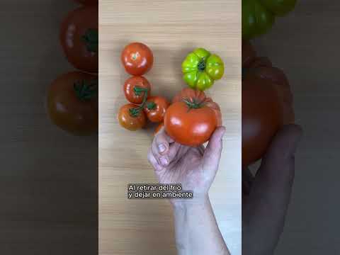 tomates-en-el-freezer-si-o-no-ciencia-y-cocina