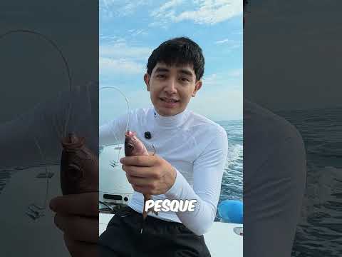 pescando-por-primera-vez-chefenproceso